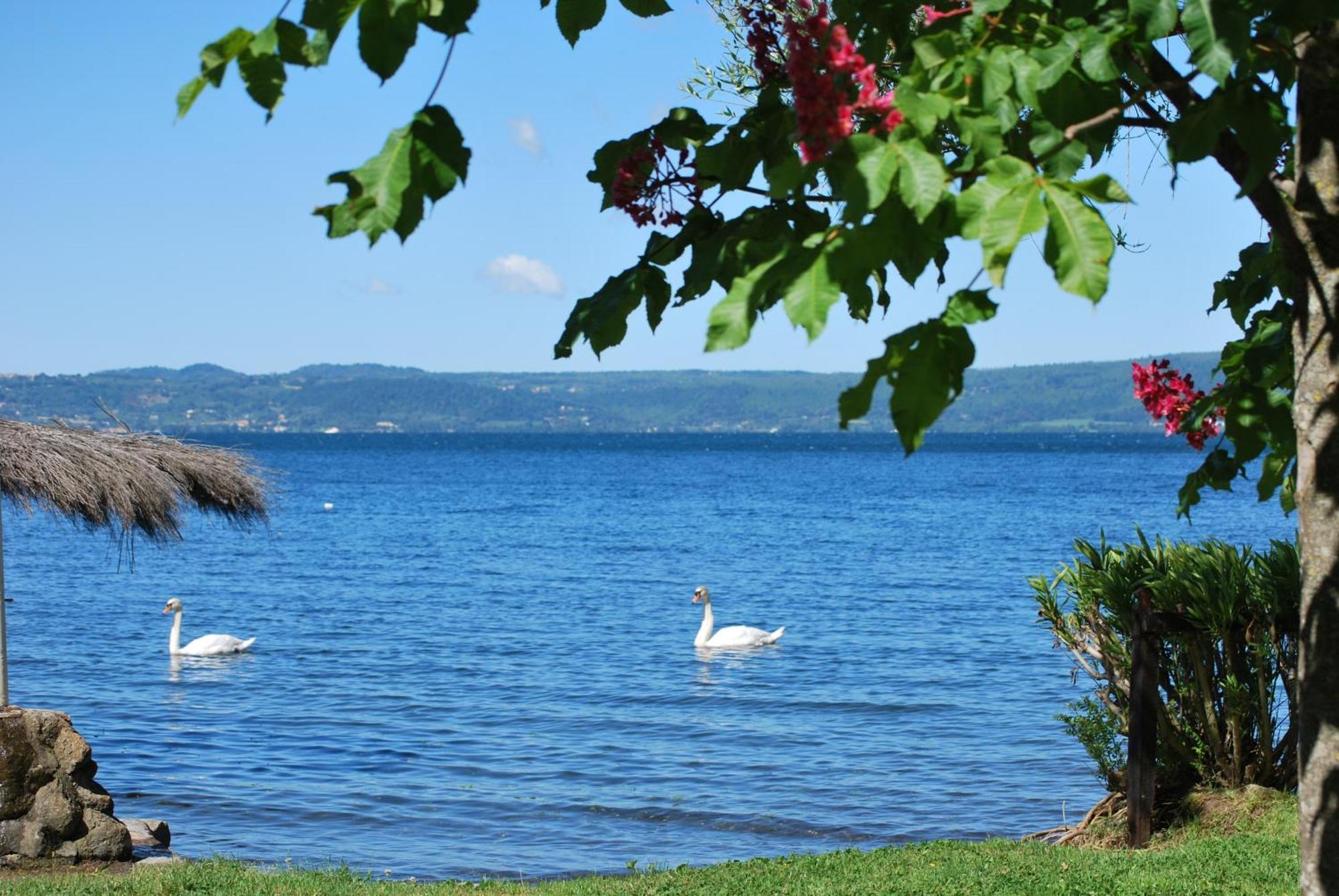 International Glamping Lago Di Bracciano Trevignano Romano Exteriér fotografie