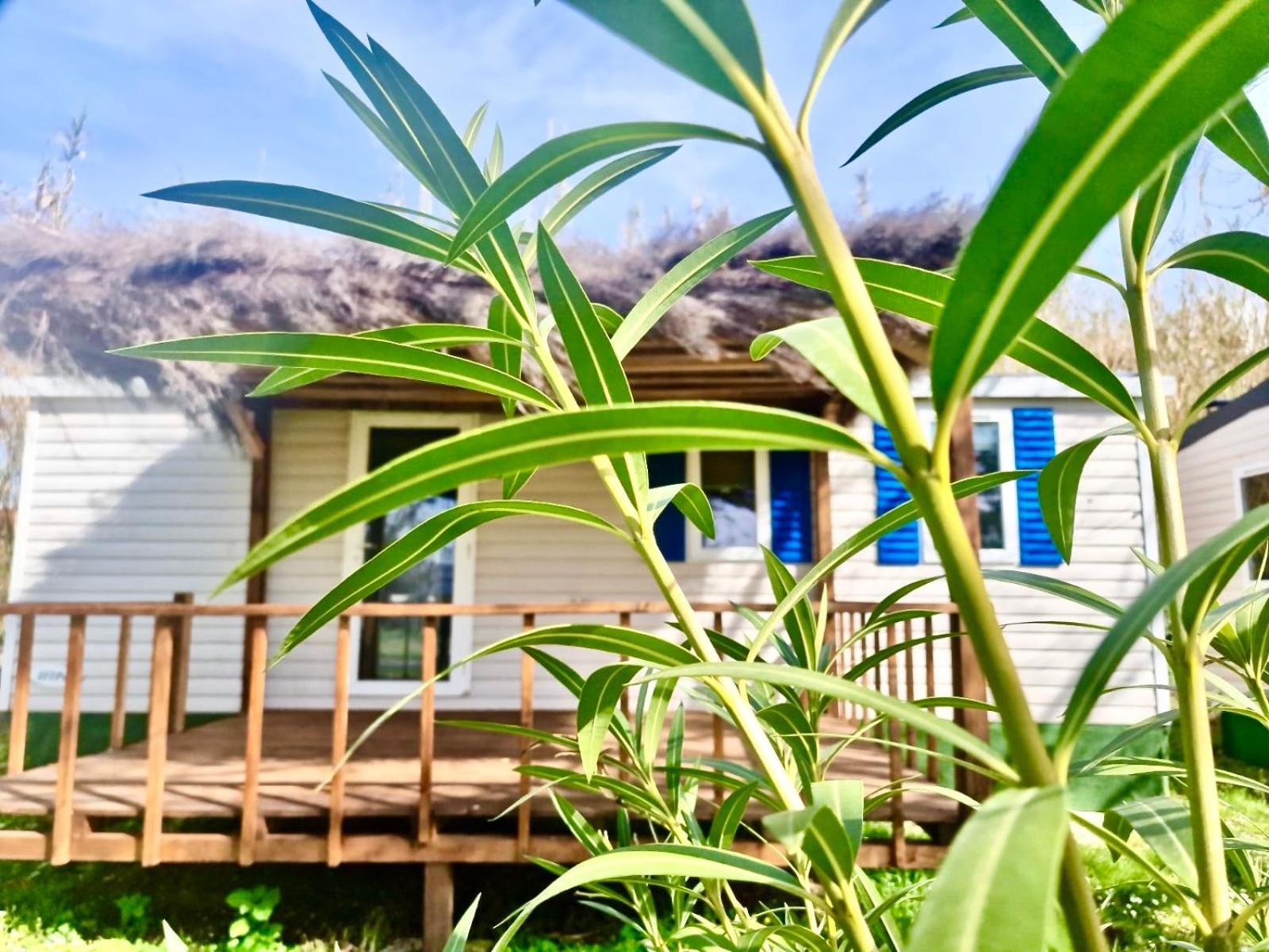 International Glamping Lago Di Bracciano Trevignano Romano Exteriér fotografie