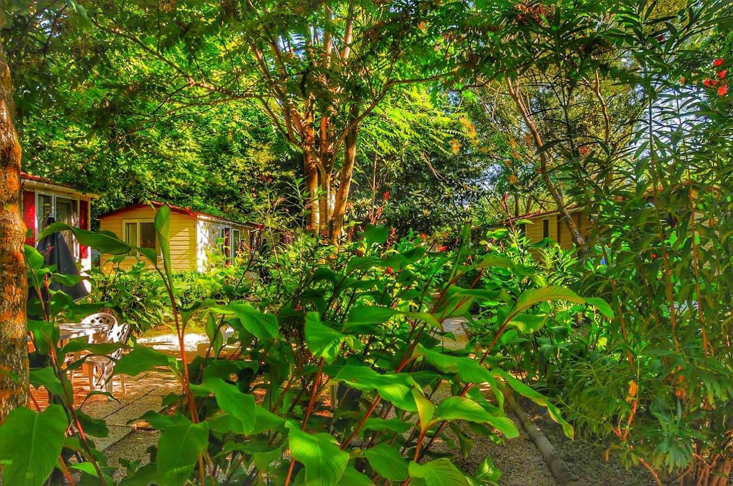 International Glamping Lago Di Bracciano Trevignano Romano Exteriér fotografie