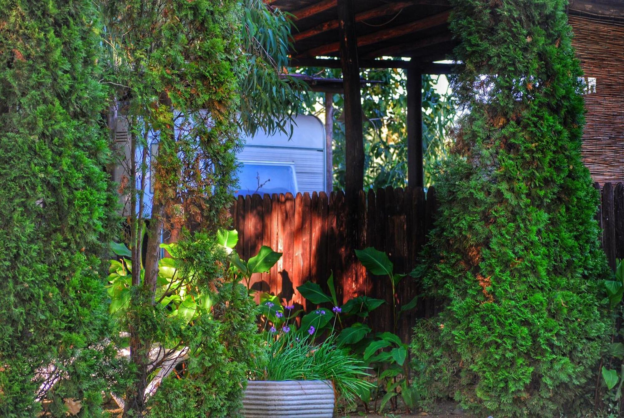 International Glamping Lago Di Bracciano Trevignano Romano Exteriér fotografie
