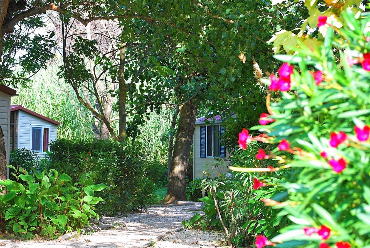 International Glamping Lago Di Bracciano Trevignano Romano Exteriér fotografie