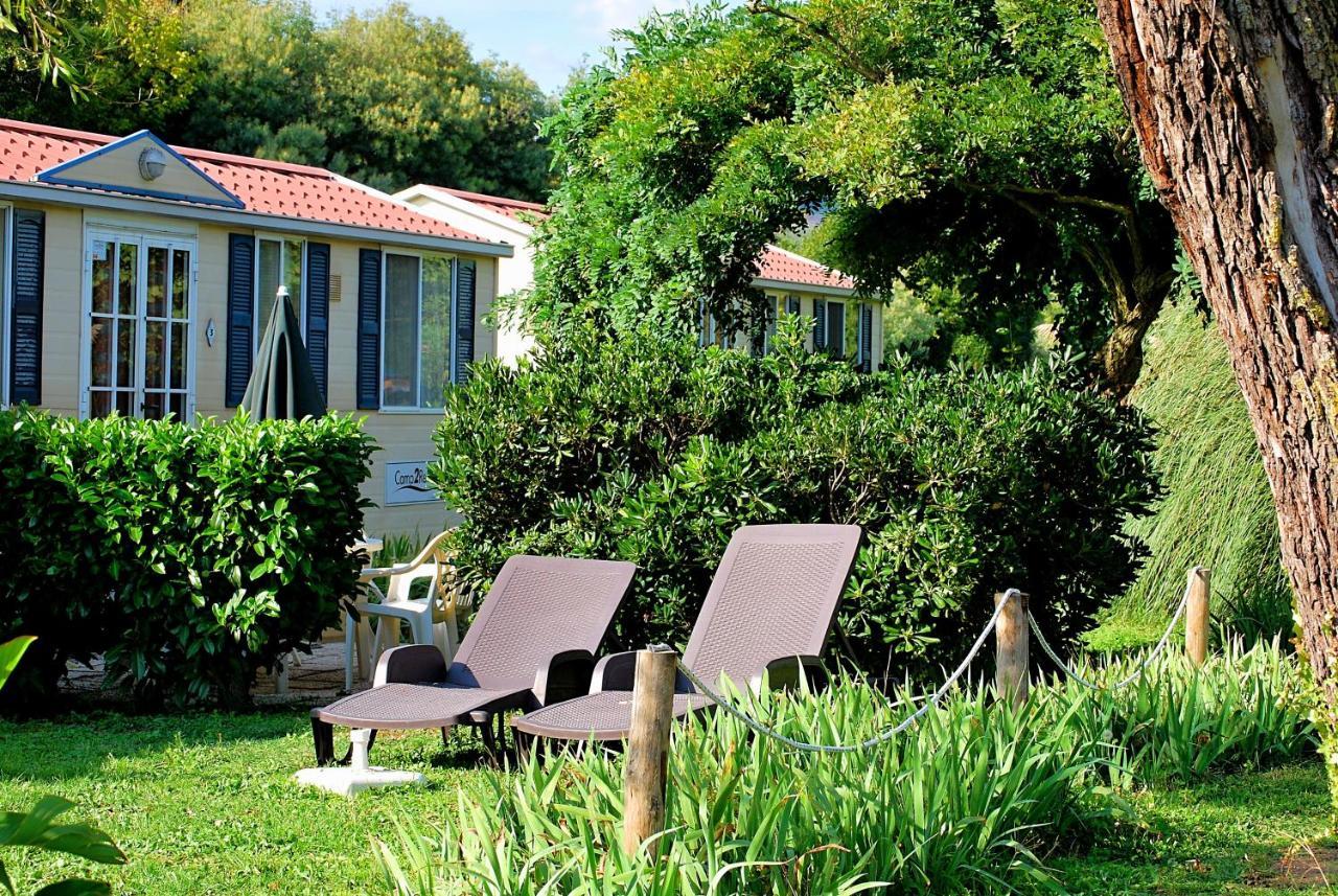 International Glamping Lago Di Bracciano Trevignano Romano Exteriér fotografie
