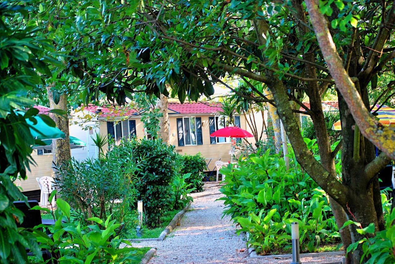 International Glamping Lago Di Bracciano Trevignano Romano Exteriér fotografie