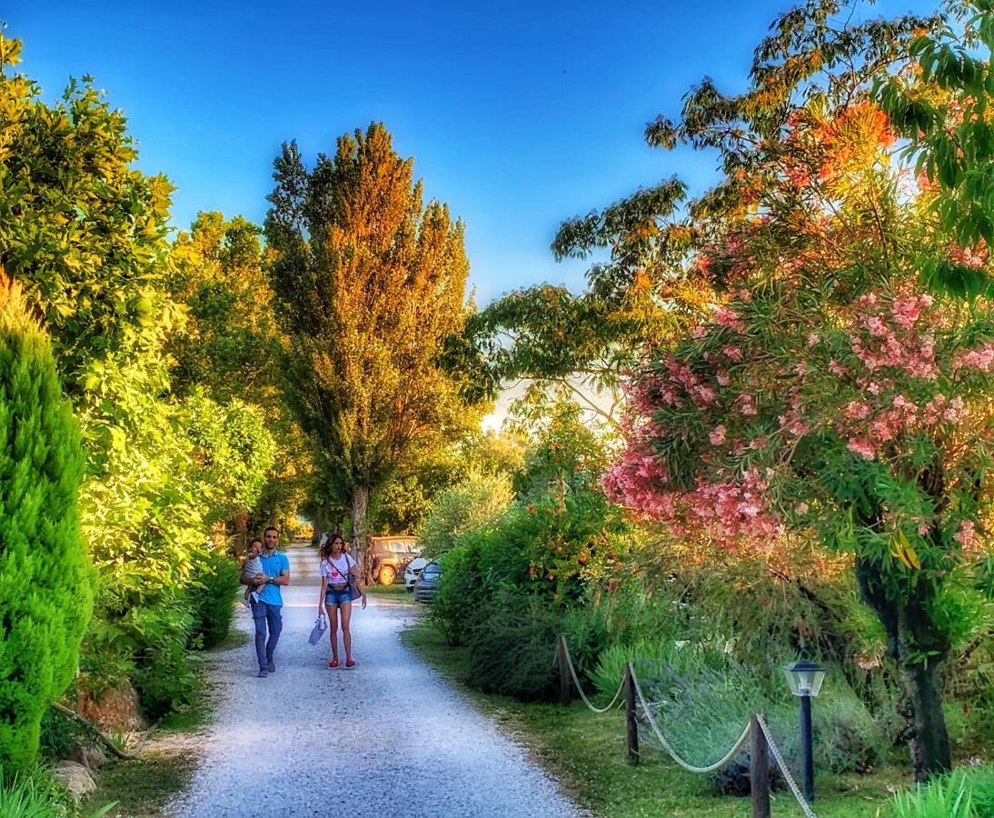 International Glamping Lago Di Bracciano Trevignano Romano Exteriér fotografie
