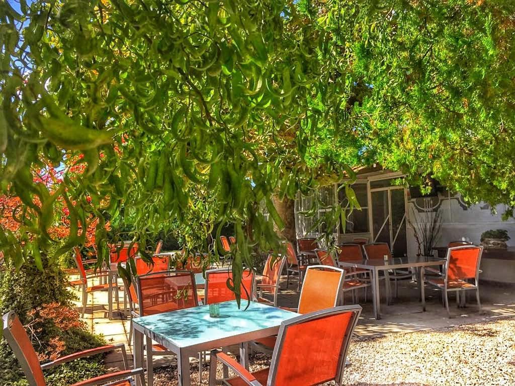 International Glamping Lago Di Bracciano Trevignano Romano Exteriér fotografie